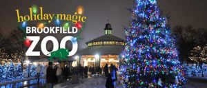 Read more about the article Brookfield Zoo Holiday Magic – now through Dec 31, 2023