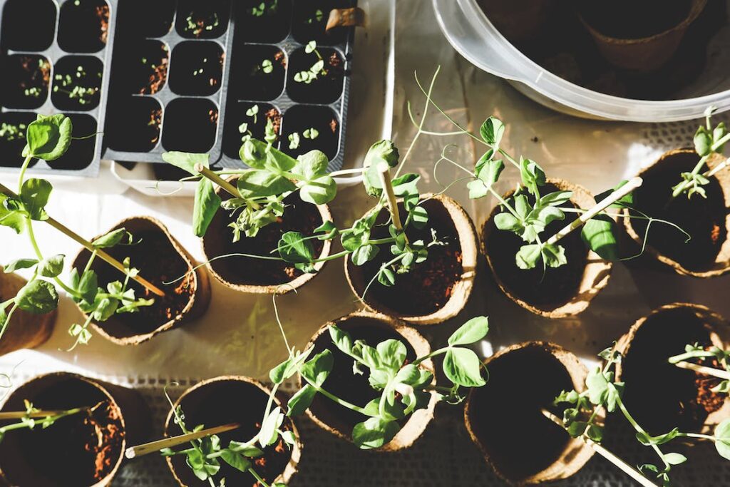 Gardening-2 Gardening-2